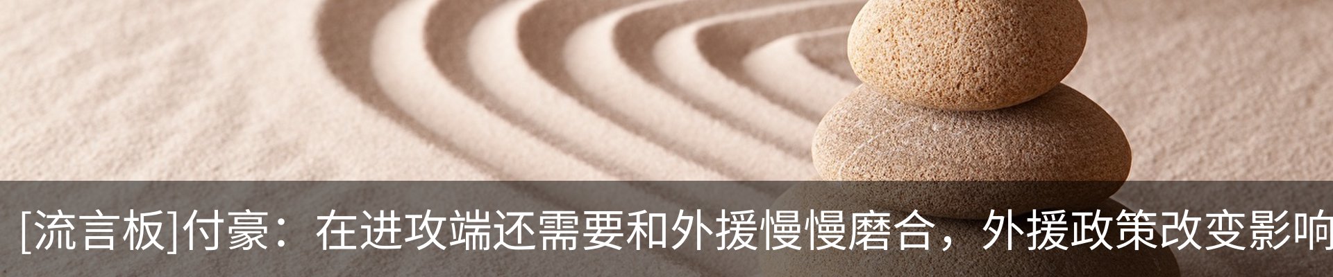 新闻动态